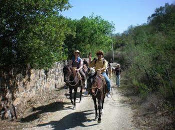 Eco Aventuras Santiago Santiago (Nuevo Leon) Bagian luar foto